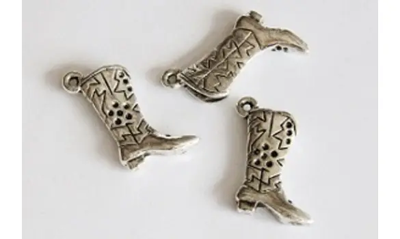 Bottes de cow-boy x5