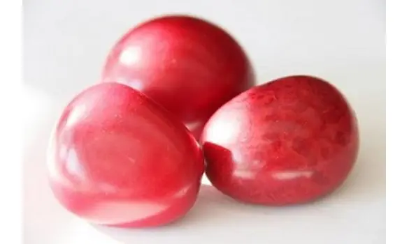 Noix de Tagua rouge