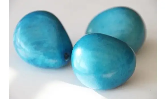 Noix de Tagua bleu