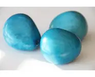Noix de Tagua bleu