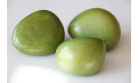 Noix de Tagua vert anis