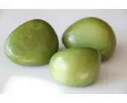 Noix de Tagua vert anis