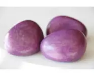 Noix de Tagua violet