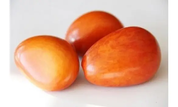 Noix de Tagua orange