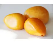 Noix de Tagua jaune