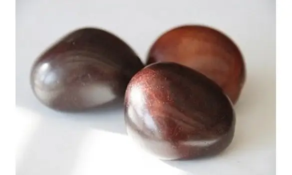 Noix de Tagua chocolat