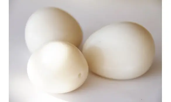 Noix de Tagua naturel