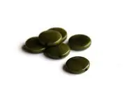 Pastille 13mm kaki