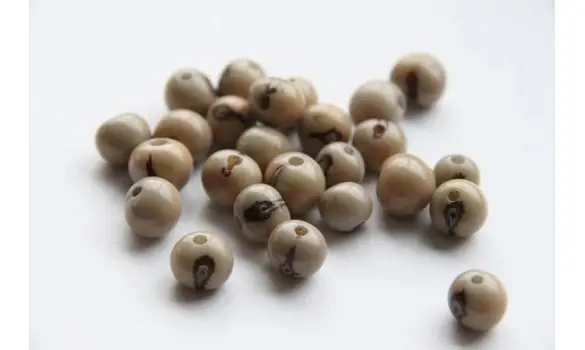 Açaïs gris clair x10