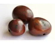 Noix Jarina chocolat